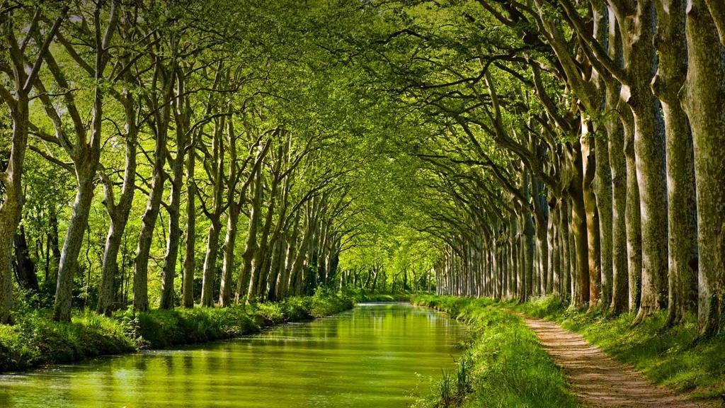 Gite La Chartreuse Du Canal Du Midi تولوز المظهر الخارجي الصورة
